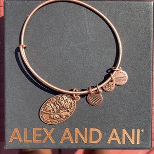 Alex and Ani Cooper charm bracelet